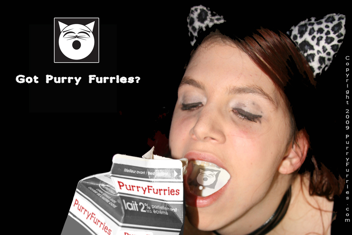Got Purry Furries?