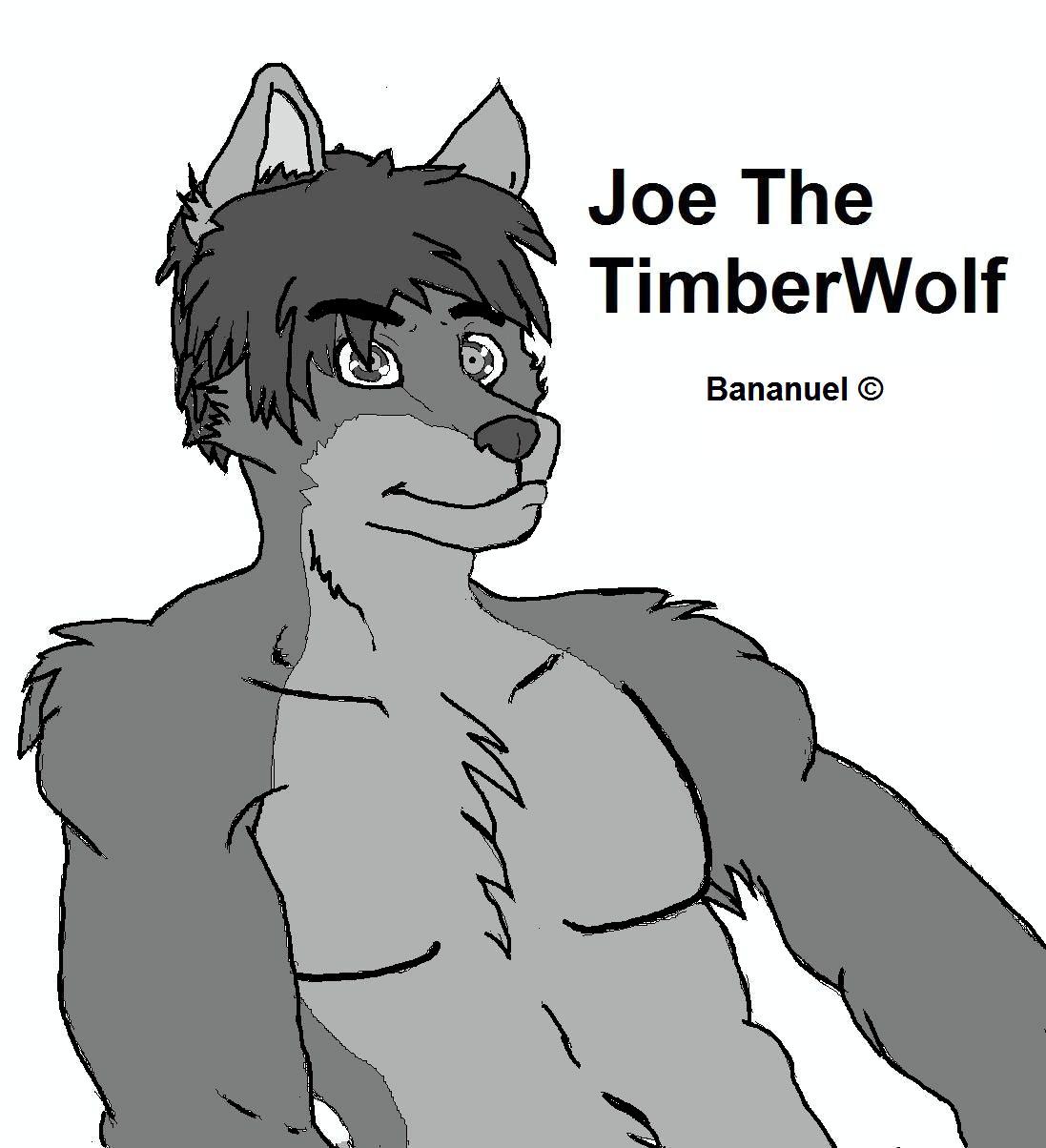 Joe The TimberWolf