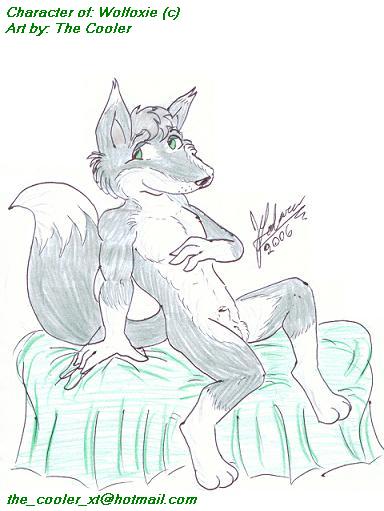 wolfoxy