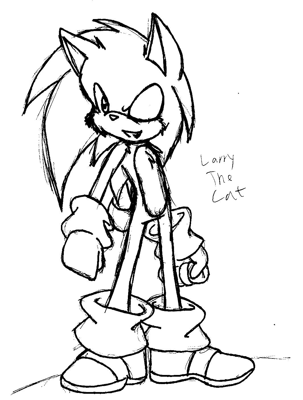 Sonic the hedgehog