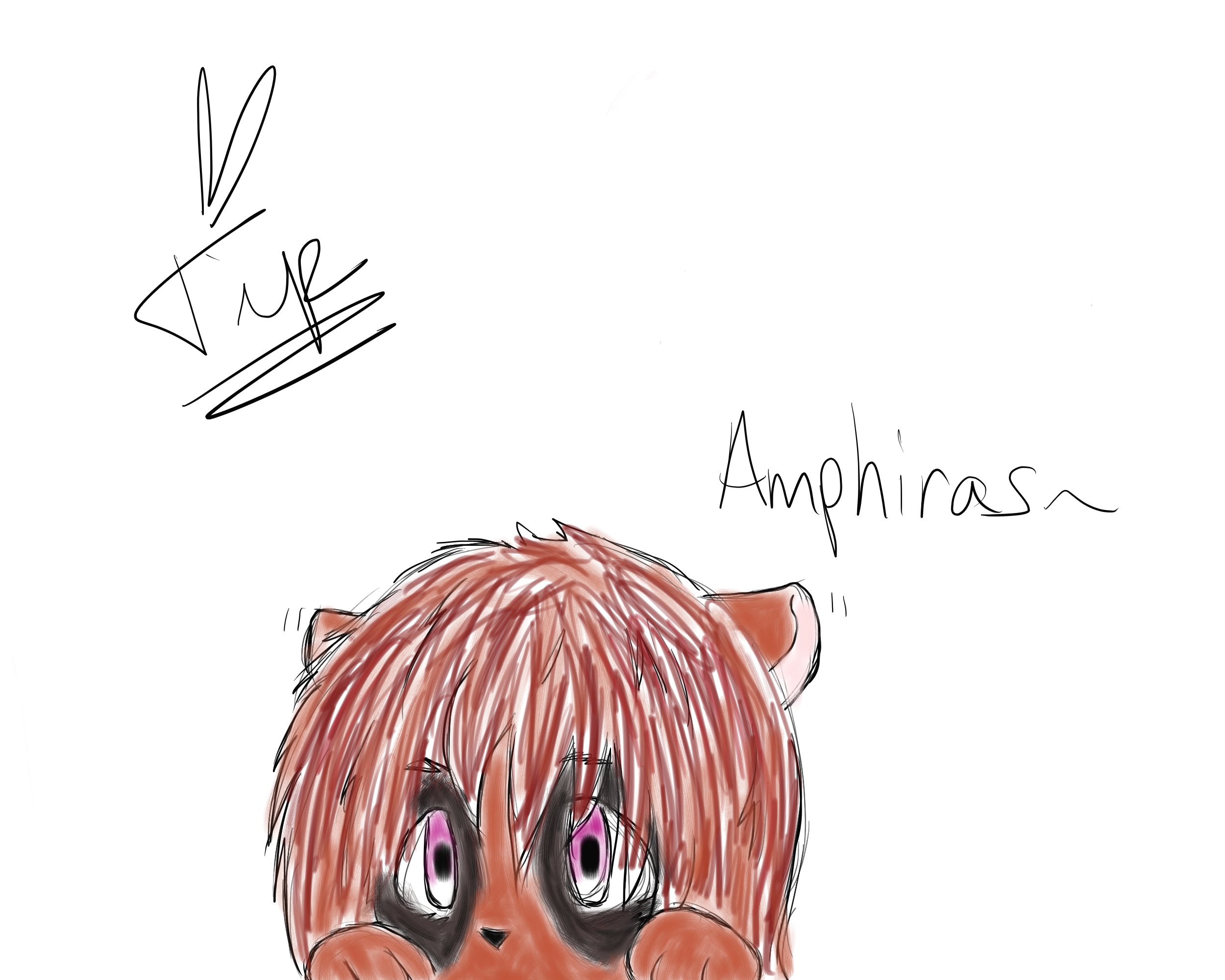 Amphiras