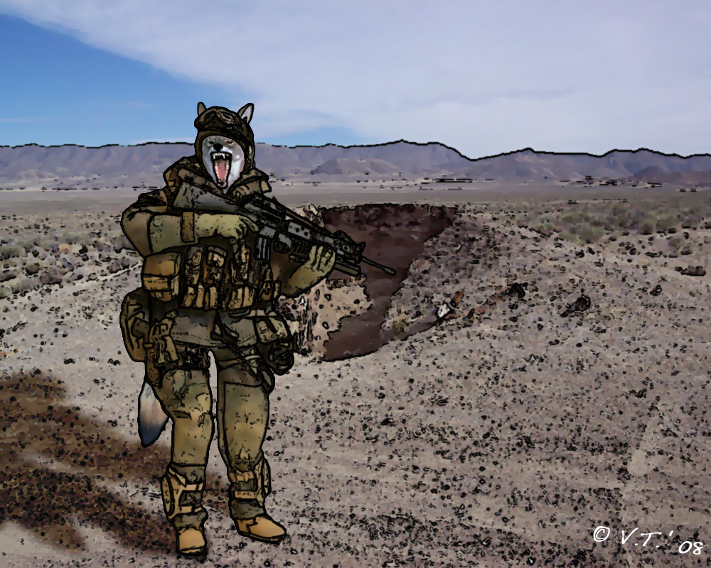 USMC Coyote.