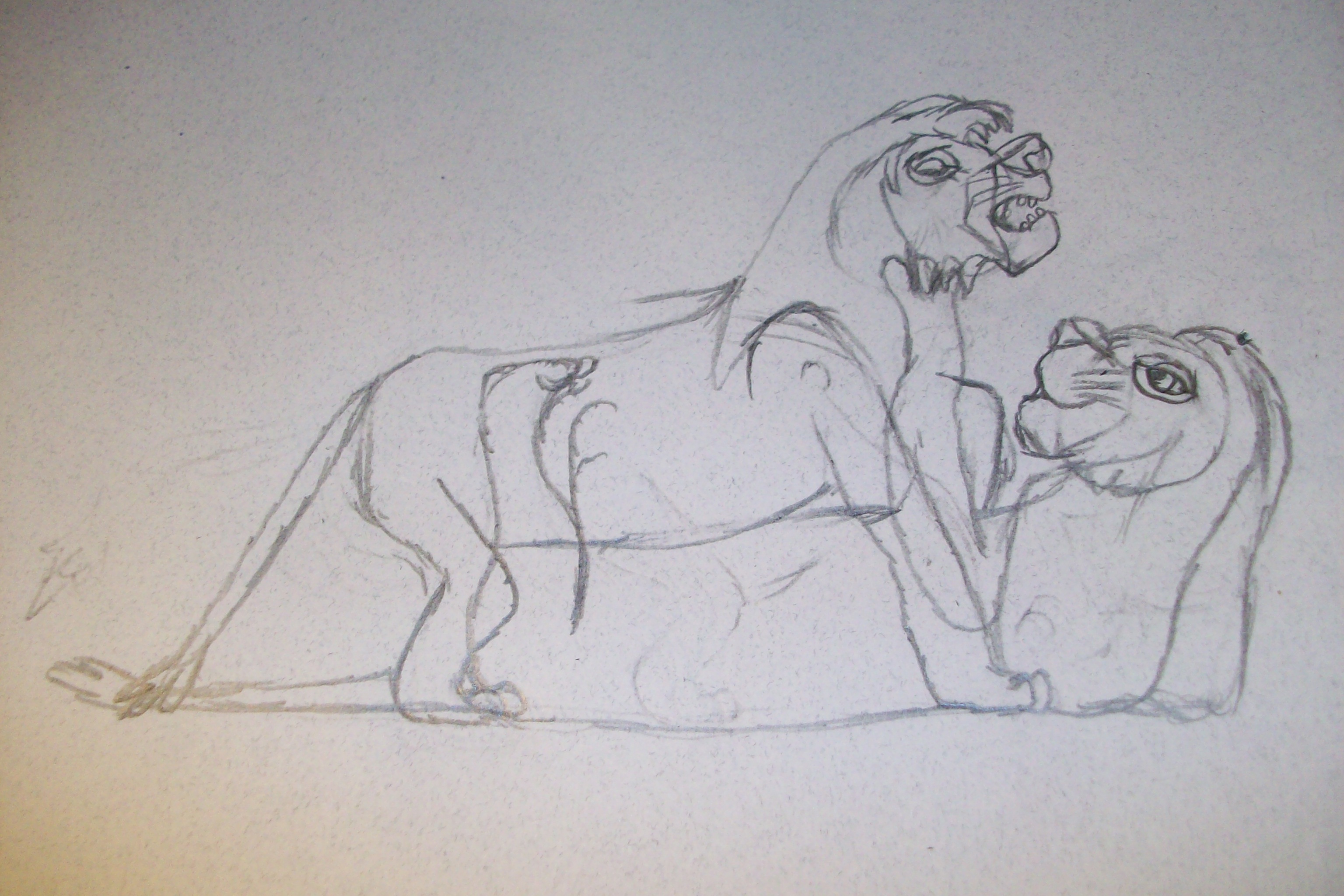 Missionary Lions Pencil Sketch