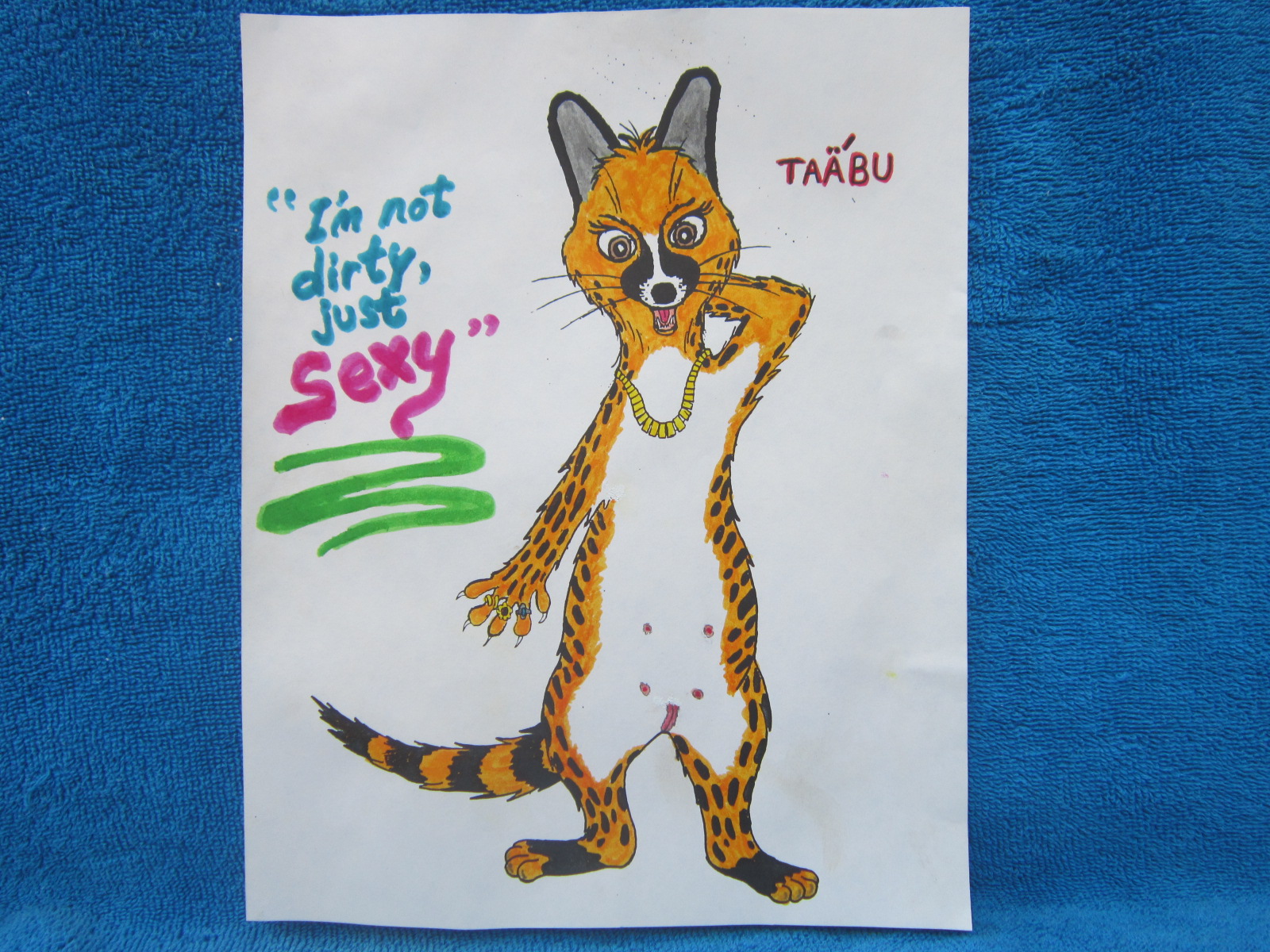 Taabu the genet