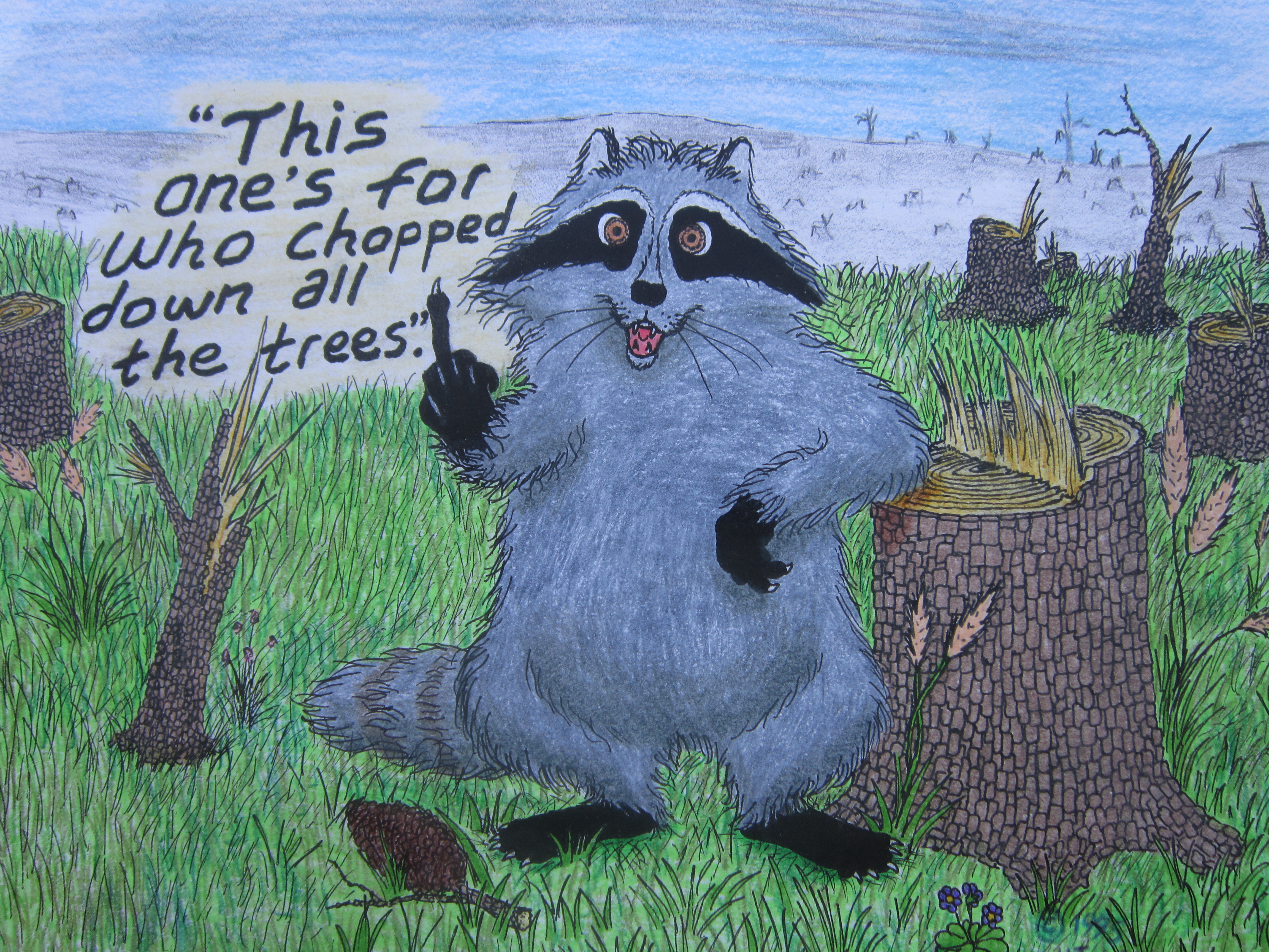 Raccoon with an issue to grind.