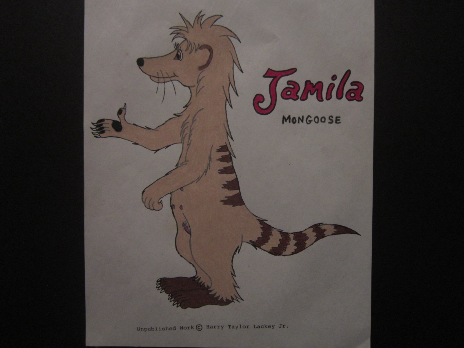 Jamila Mongoose.