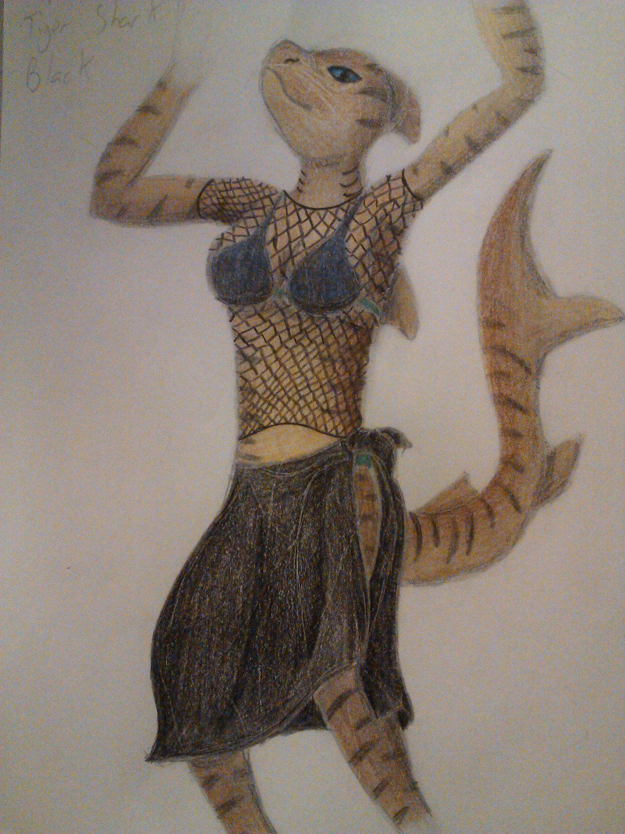 Tiger Shark Belly Dancer