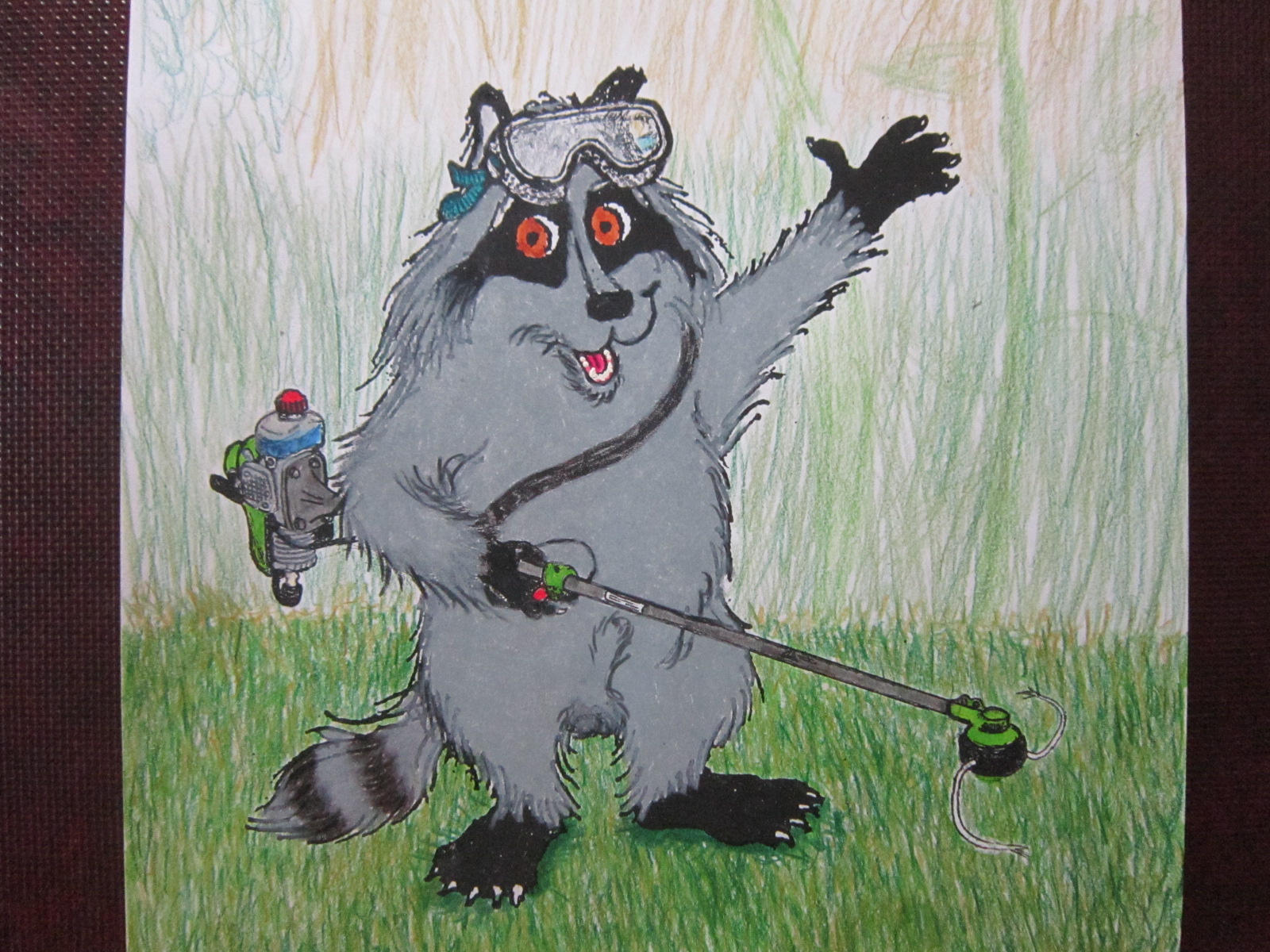 Jasper Raccoon Clearing the Weeds