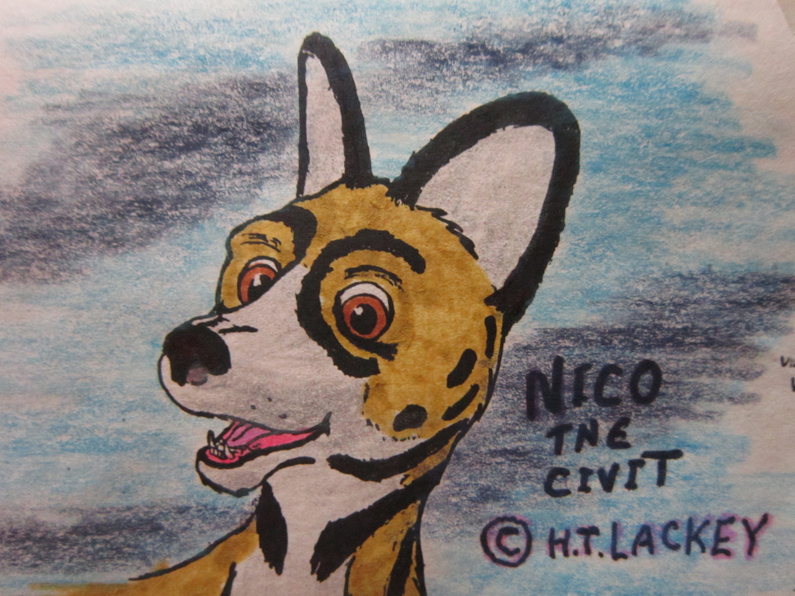 Nico the Civet