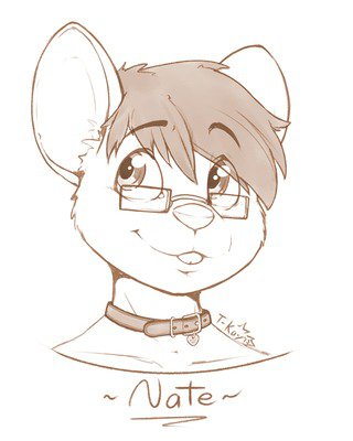 Nate the mouse by T-kay