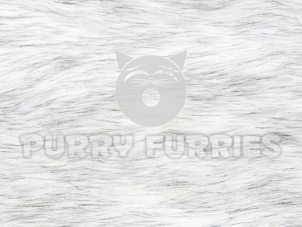 Purry Furries Fur #1 (1024x768)