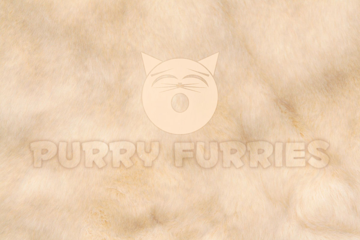 Purry Furries Fur #2 (1200x800)