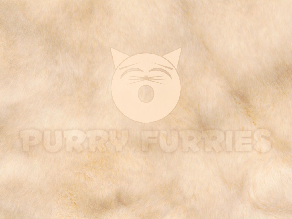 Purry Furries fur texture wallpaer #1 (1024x768)