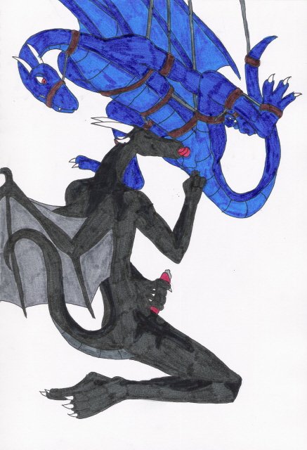 black n blue dragon