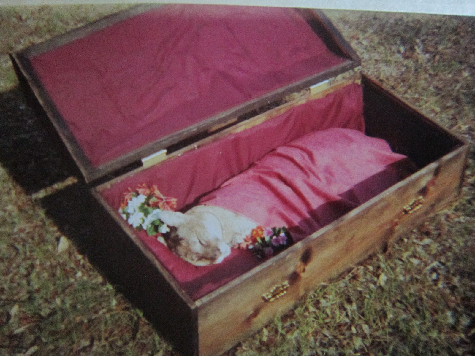 Daisy's funeral