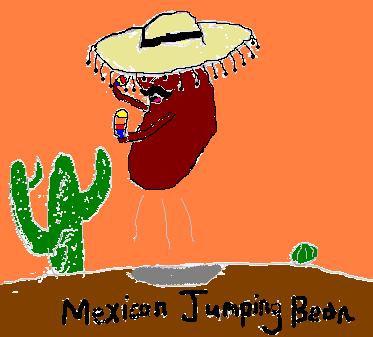 Mexican Jumping Bean