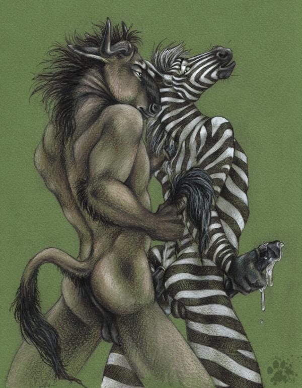 zebra and horse anal
