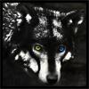 [Lonelywolf]