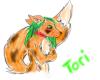 Tori