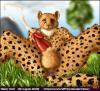 Cheetah spooge