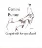 Gemini Bunny