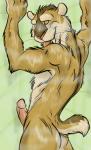 SABERS!!