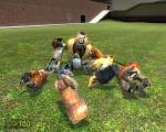 hl2 (dog and the vorts)