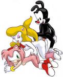sonic x animaniacs