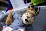 roo kangaroo fursuit clean fursworth