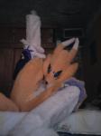 renamon yiff