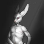 pawsru draws